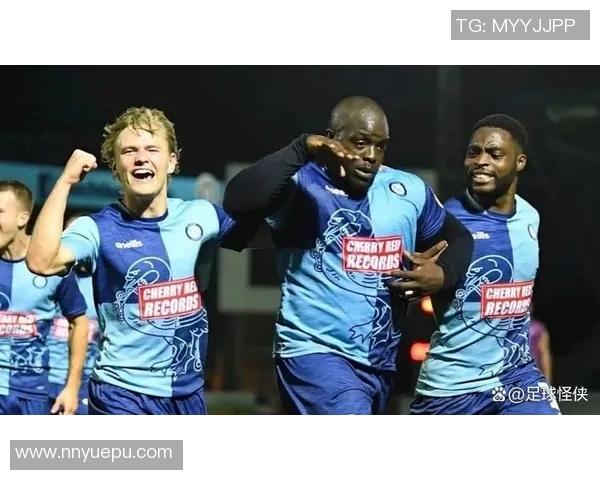 汉姆足球明星盘点及其在足球界的影响力分析